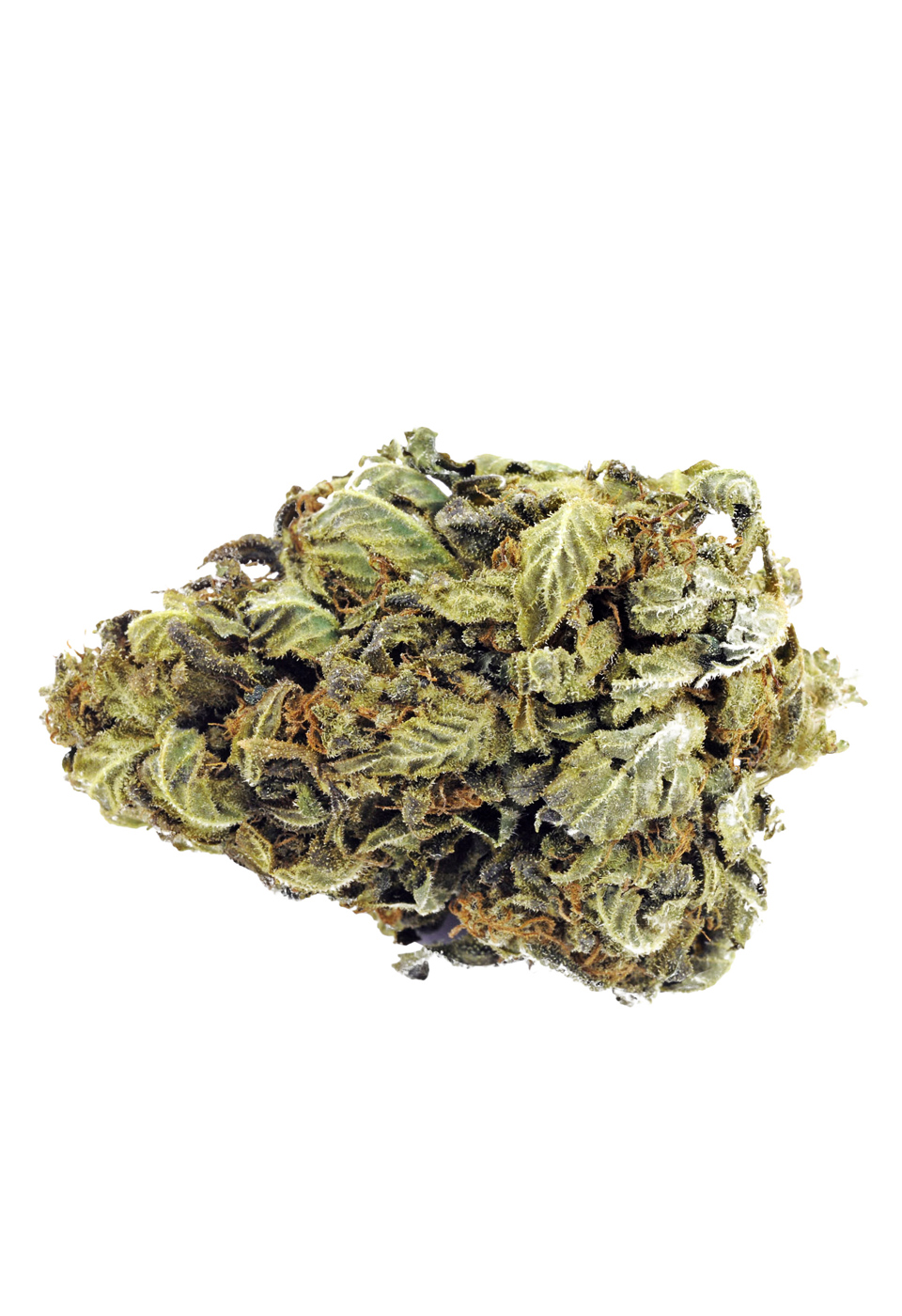 Western Type Morning Star Art & Framing